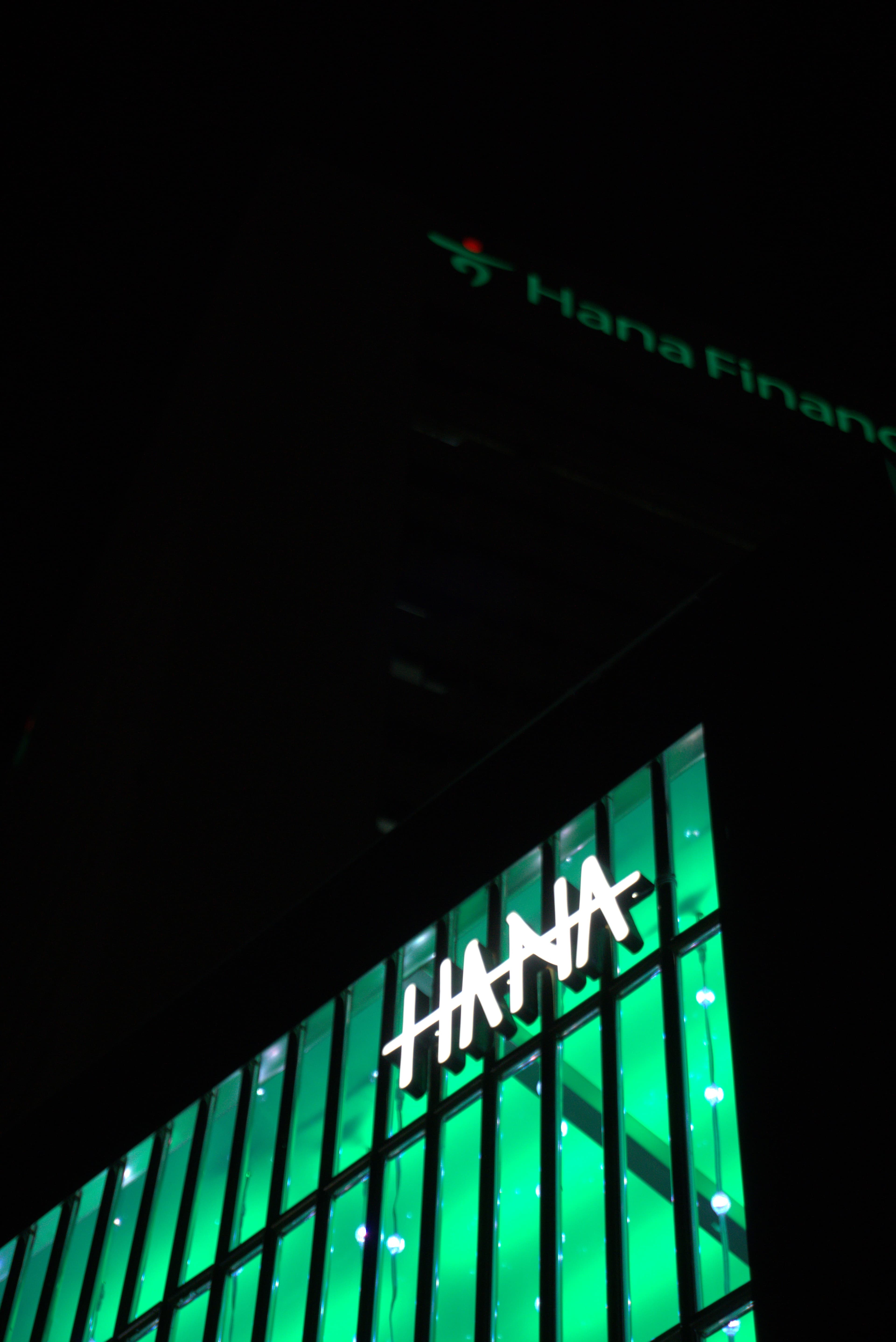 하나금융그룹xGD [The Urban Tree] 4