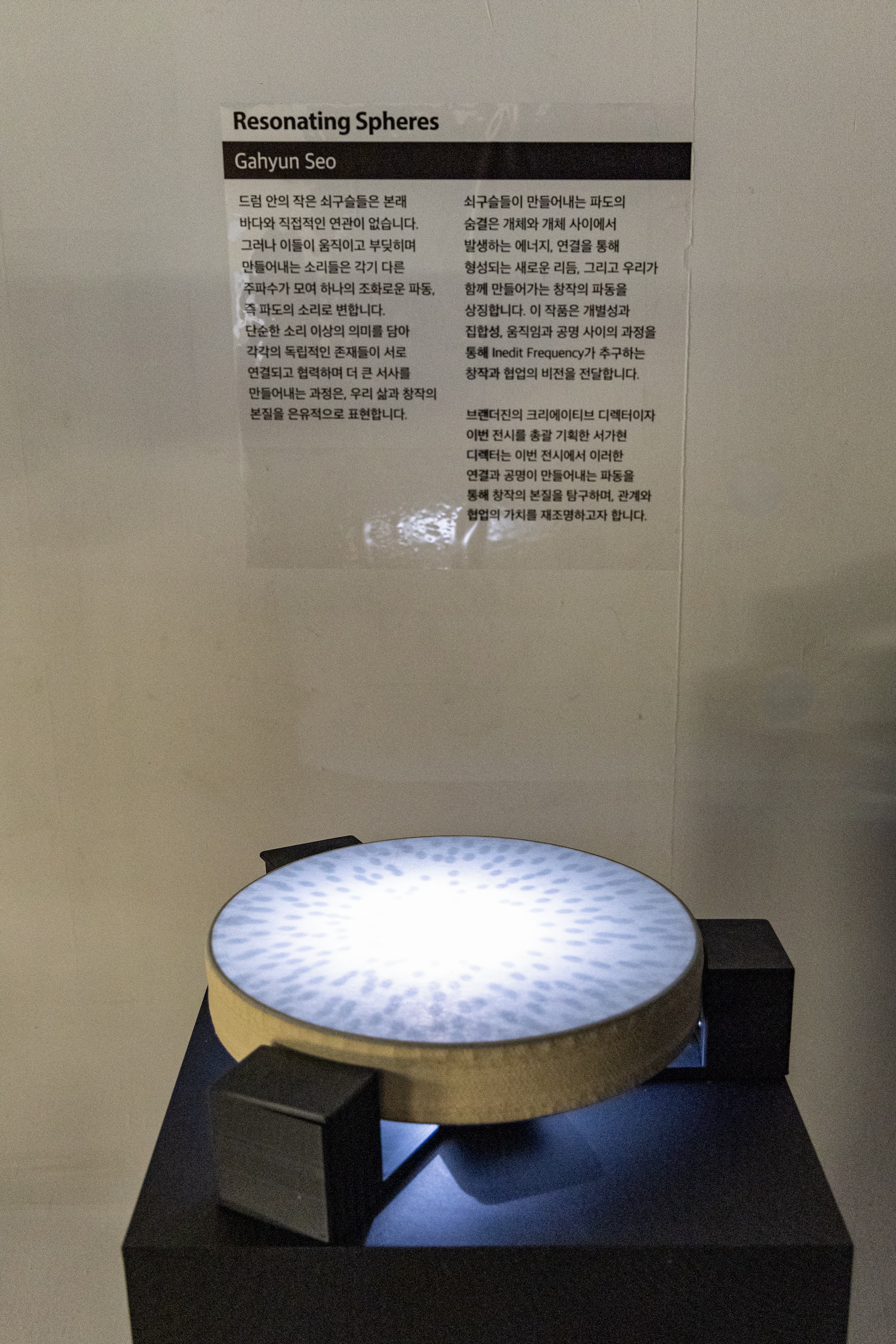 브랜더진<INEDIT FREQUENCY> 13